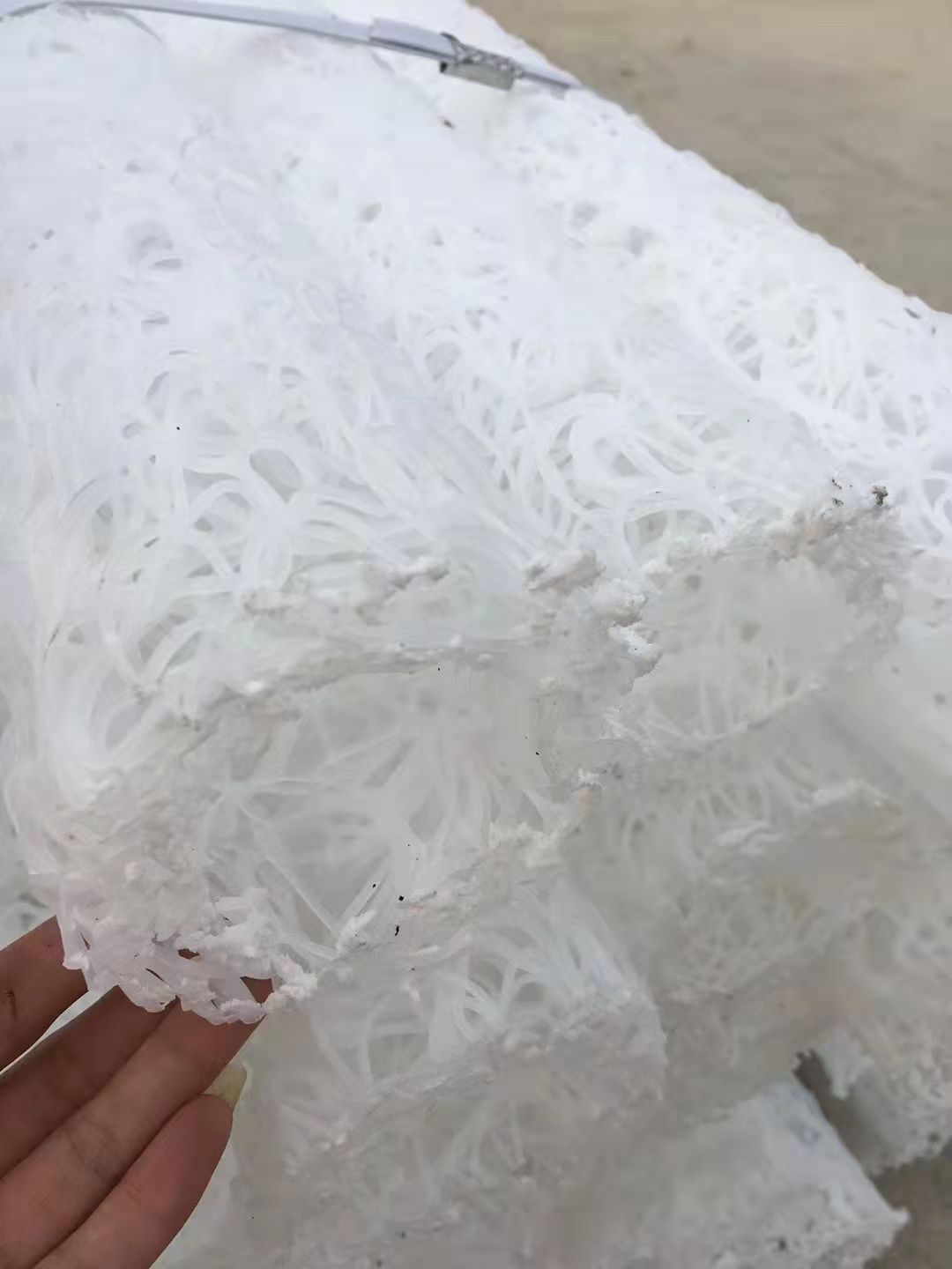 ����ä��